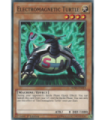 Electromagnetic Turtle