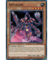 Antialian