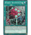 Borrel Regenerator