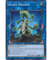 Agave Dragon