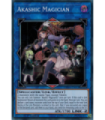 Akashic Magician