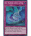 The Weather Auroral Canvas