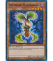 Evilswarm Mandragora