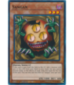 Sangan