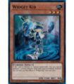 Widget Kid