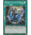 Magicalized Fusion