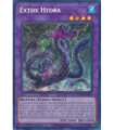 Extox Hydra