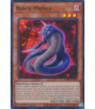 Black Mamba