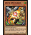 Droll & Lock Bird