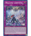 Welcome Labrynth