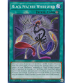 Black Feather Whirlwind