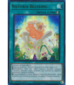 Naturia Blessing