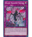 Black Shadow Squall