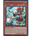 Amazoness War Chief