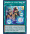 Amazoness Secret Arts