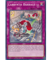 Labrynth Barrage