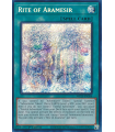 Rite of Aramesir