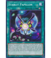 Starlit Papillon