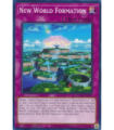 New World Formation