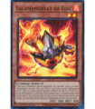 Salamangreat of Fire